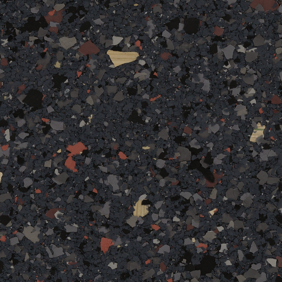 Typology／D41／T31 Torginol, Inc. | Blacktop
